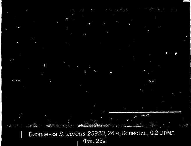 Ингибирование организмов биопленки (патент 2548786)