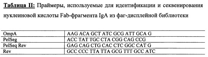 Антитело или его фрагмент, имеющие нейтрализующую активность в отношении вич (патент 2380378)