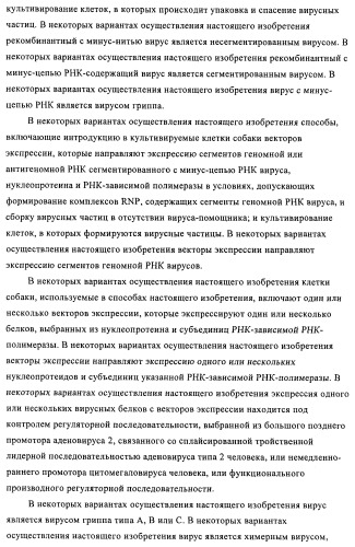 Способы и композиции для экспрессии антисмысловой вирусной рнк в клетках собаки (патент 2457250)