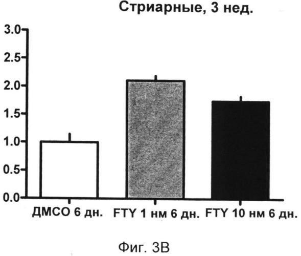 Использование модулятора рецептора s1p (патент 2498796)