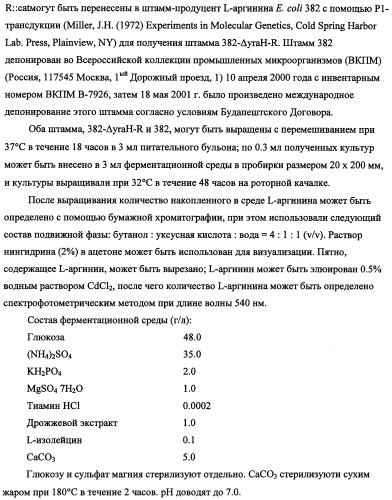 Способ получения l-треонина с использованием бактерии, принадлежащей к роду escherichia, в которой инактивирован кластер генов yrah-r (патент 2337962)