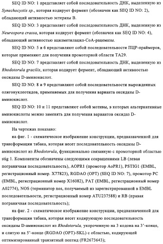 Способ избирательного получения растений с мужской или женской стерильностью (патент 2320722)