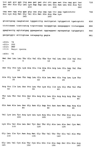 Штамм вируса гриппа а собак (варианты), иммуногенный полипептид, полинуклеотид, кодирующий его, вектор экспрессии полипептида, иммуногенная композиция, содержащая полипептид, и способ индукции иммунного ответа у животного (патент 2449014)