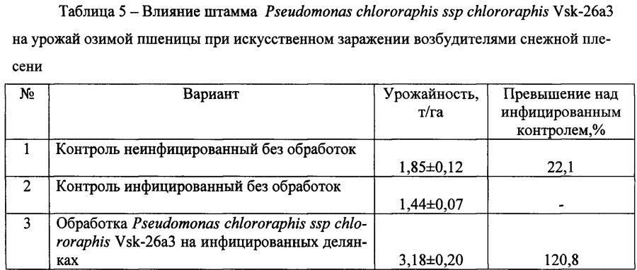 Фосфатрастворяющий штамм pseudomonas chlororaphis ssp chlororaphis vsk-26a3, обладающий фунгицидной и бактерицидной активностью (патент 2603281)