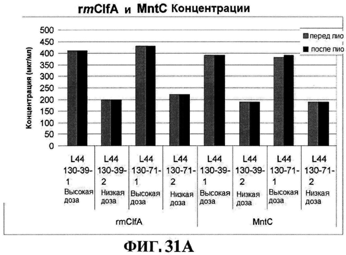 Стабильные иммуногенные композиции антигенов staphylococcus aureus (патент 2570730)