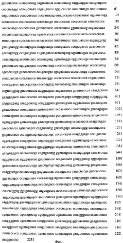 Способ диагностики онкологических заболеваний (патент 2340896)