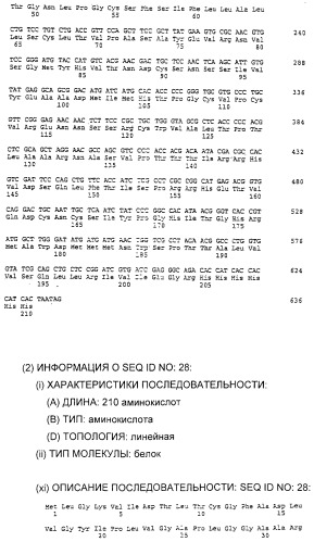 Очищенные белки оболочки вируса гепатита с для диагностического и терапевтического применения (патент 2313363)