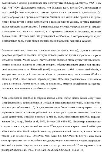 Молекулы нуклеиновых кислот, кодирующие wrinkled1-подобные полипептиды, и способы их применения в растениях (патент 2385347)