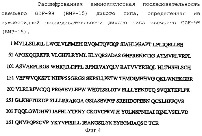 Нуклеотидные и аминокислотные последовательности факторов яйцеклеток для изменения роста яичниковых фолликулов in vivo или in vitro (патент 2270862)