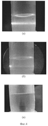 Способ локального разрушения опухолей с помощью свч-нагрева магнитных наночастиц (патент 2382659)