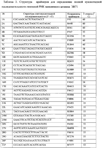 Штамм энтеровируса а71 типа субгенотипа с4, используемый для диагностики и изучения эффективности лечебно-профилактических и вакцинных препаратов (патент 2565811)