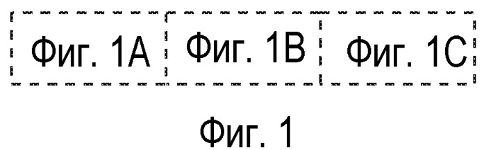 Гуманизированные антитела против фактора d и их применения (патент 2488594)