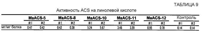 Полинуклеотид, кодирующий гомолог ацил-соа-синтетазы, и его применение (патент 2528248)