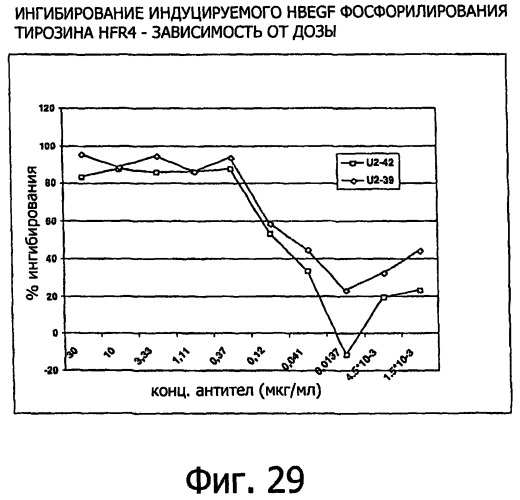 Белки, связывающие антиген фактор роста, подобный гепаринсвязывающему эпидермальному фактору роста (патент 2504551)