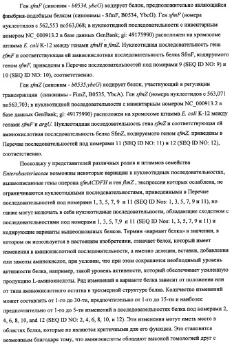 Способ получения l-треонина с использованием бактерии, принадлежащей к роду escherichia, в которой инактивирован кластер генов sfmacdfh-fimz или ген fimz (патент 2333953)