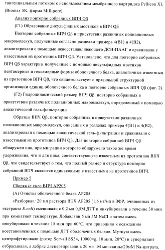 Конъюгаты впч-антиген и их применение в качестве вакцин (патент 2417793)