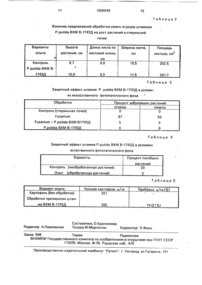 Штамм бактерий рsеudомоnаs рuтidа для получения препарата, используемого для стимуляции роста растений и защиты растений от грибов рода fusаriuм и бактерий erwinia (патент 1805849)