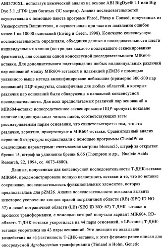 Вариант кукурузы mir604 (патент 2351122)
