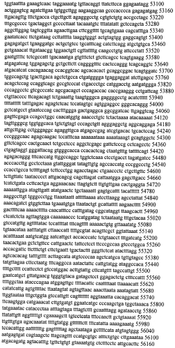 Модуляция экспрессии гентингтина (патент 2562861)