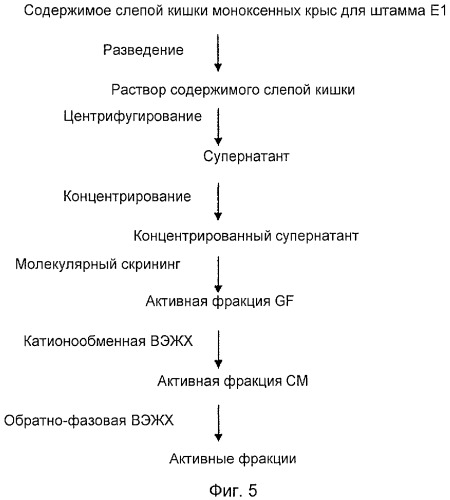 Пептиды rumc, обладающие антимикробной активностью (патент 2464274)