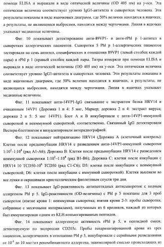 Гипоаллергенный слитый белок, молекула нуклеиновой кислоты, кодирующая его, вектор экспрессии, клетка-хозяин, вакцинная композиция и его применение (патент 2486206)