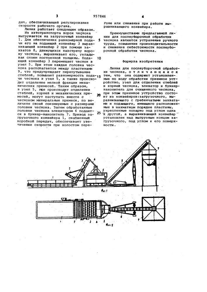 Линия для послеуборочной обработки чеснока (патент 957846)