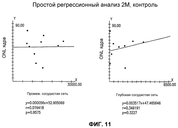 Изолированные популяции миелоидоподобных клеток костного мозга и способы лечения с ними (патент 2418856)