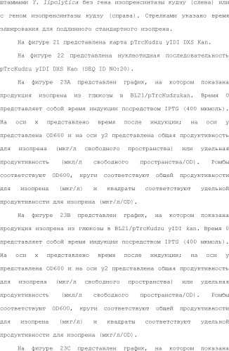 Полимеры изопрена из возобновляемых источников (патент 2505605)