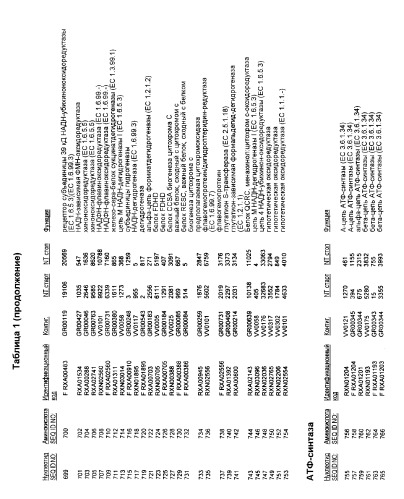 Гены corynebacterium glutamicum, кодирующие белки, участвующие в метаболизме углерода и продуцировании энергии (патент 2321634)