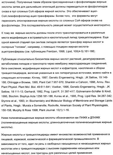 Способ получения полиненасыщенных жирных кислот в трансгенных растениях (патент 2449007)