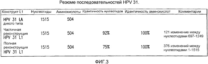 Молекула нуклеиновой кислоты, кодирующая hpv31 l1, экспрессирующий вектор, клетка-хозяин, вирусоподобная частица и способ ее получения, вакцина, фармацевтическая композиция и способы с их использованием (патент 2356943)