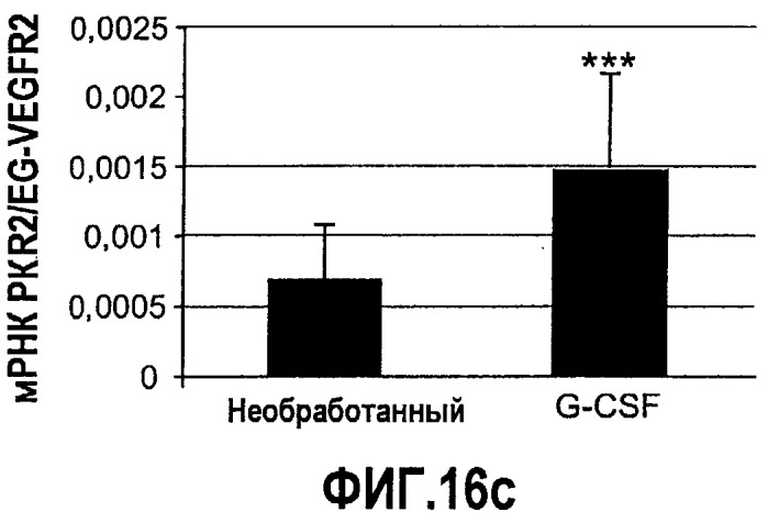 Ингибирование ангиогенеза (патент 2471498)
