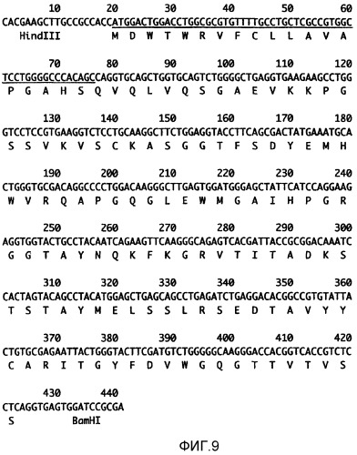 Рекомбинантное антитело против остеопонтина и его применение (патент 2305111)