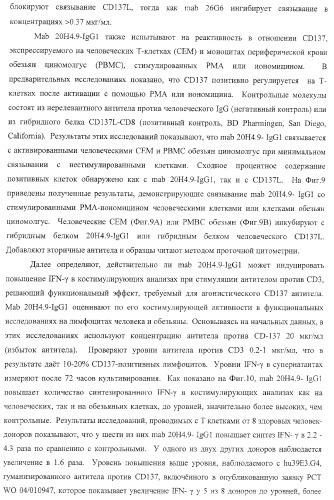 Человеческие антитела против человеческого 4-1вв (cd137) (патент 2376316)