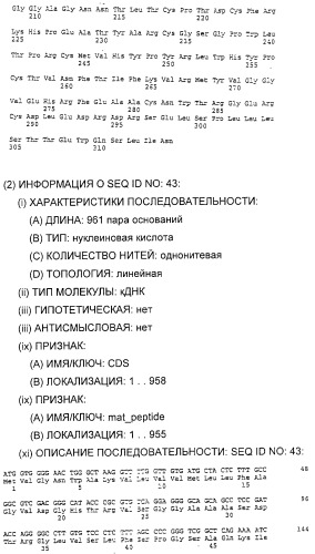 Очищенные белки оболочки вируса гепатита с для диагностического и терапевтического применения (патент 2313363)