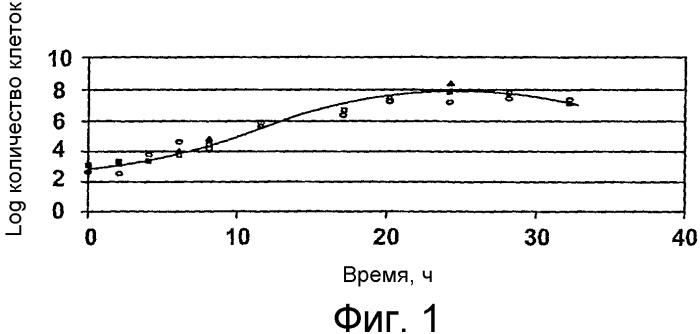 Пастеризация яиц в скорлупе (патент 2357419)