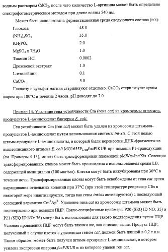 Способ получения l-треонина с использованием бактерии, принадлежащей к роду escherichia, обладающей усиленной экспрессией оперона fucpikur (патент 2318870)