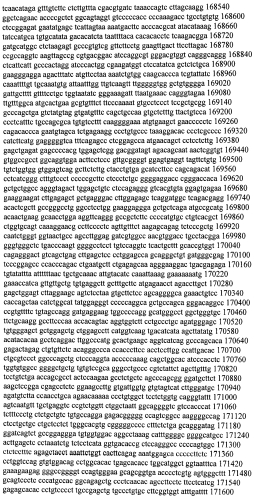 Модуляция экспрессии гентингтина (патент 2562861)