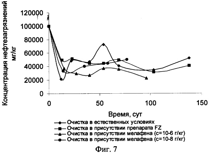 Способ биологической очистки почвы от нефтяных загрязнений (патент 2355488)