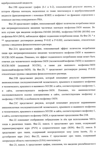 Способ получения фактора, связанного с контролем над потреблением пищи и/или массой тела, полипептид, обладающий активностью подавления потребления пищи и/или прибавления в весе, молекула нуклеиновой кислоты, кодирующая полипептид, способы и применение полипептида (патент 2418002)