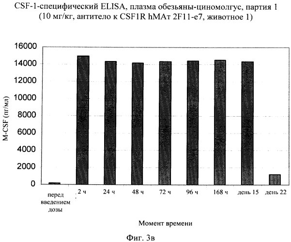 Антитела, связывающиеся преимущественно с внеклеточным доменом 4 человеческого csf-1r, и их применение (патент 2565541)