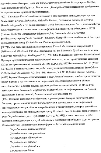 Использование фосфокетолазы для продукции полезных метаболитов (патент 2322496)