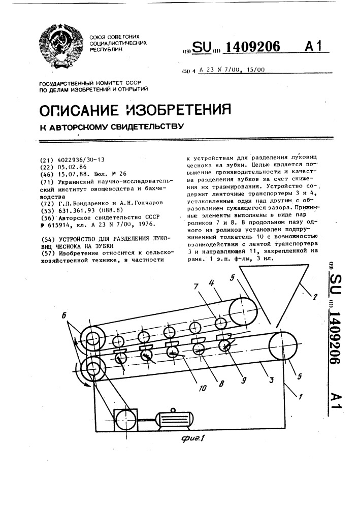 Устройство для разделения луковиц чеснока на зубки (патент 1409206)