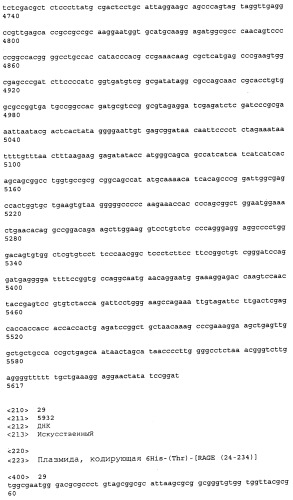 Антитела к рецептору конечных продуктов глубокого гликирования (rage) и их применения (патент 2518351)