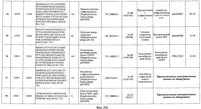 Бактериофаг, обладающий активностью против pseudomonas aeruginosa, белки бактериофага и способы их применения (патент 2580248)