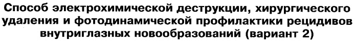 Способ электрохимической деструкции, хирургического удаления и фотодинамической профилактики рецидивов внутриглазных новообразований (варианты) (патент 2244531)