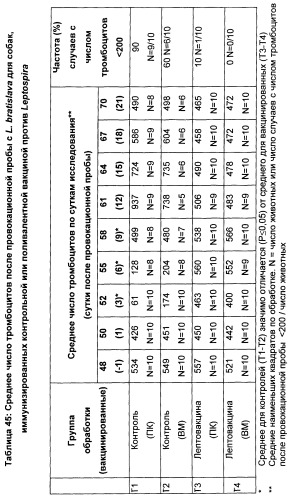Поливалентные вакцины для собак против leptospira bratislava и других патогенов (патент 2400248)