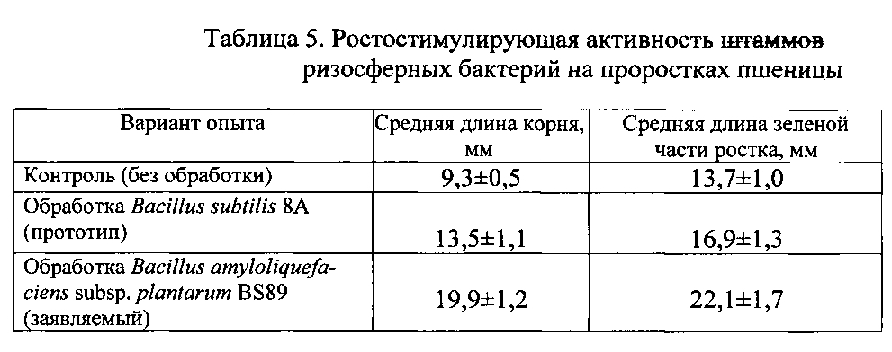 Штамм бактерий bacillus amyloliquefaciens subsp. plantarum bs89 в качестве средства повышения продуктивности растений и их защиты от болезней (патент 2599416)