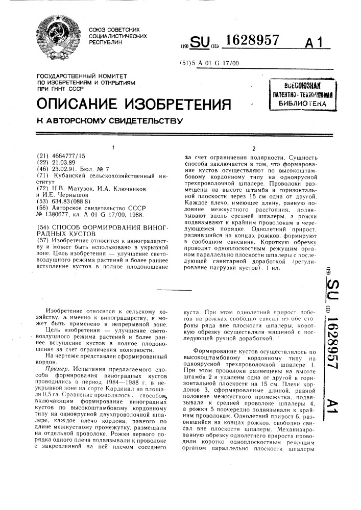 Способ формирования виноградных кустов (патент 1628957)