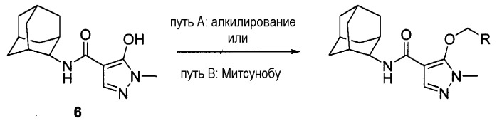 Гетероциклические соединения, обладающие ингибирующей активностью по отношению к 11 -гидроксистероиддегидрогеназе 1 типа (патент 2443689)